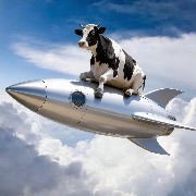 #PI 
Why a five-year plan? Because some people who have 100% locked tokens hold a large amount of coins, and some even have 200,000 coins. Locking for three years means that after three years, the price could still plummet. The maximum price is one cent, and 0.01 yuan is the bottom.