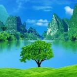 host_avatar