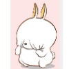 host_avatar
