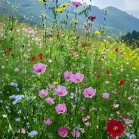 #PI  When others go up, you can't rise; when others drop, you follow along. You're really a worry!