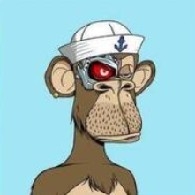 host_avatar