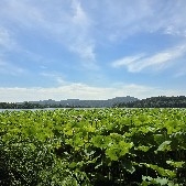 #GAT# #GRT# XRP breaks through $2.5