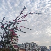 The price of #ETH  is definitely going to pull back tonight, no need to rush.