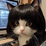 $PI  go to 0.258 or 0.252 to buy more