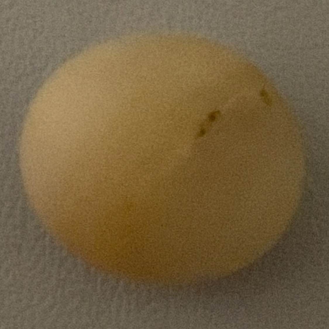 $SOL BTT/USDT
XEC/USDT
LUNC/USDT
OOE/USDT
VRA/USDT
The currency's price is very low in a market with a very large project; what will happen in the long run? allah knows. 