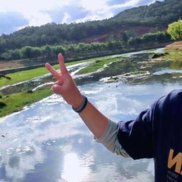 IWantSevenSeniorSistersBNB